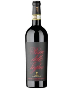 Brunello di Montalcino DOCG Pian delle Vigne 2019 - Antinori