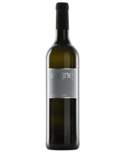 Sauvignon Blanc Schaffhausen AOC 2024 - aagne