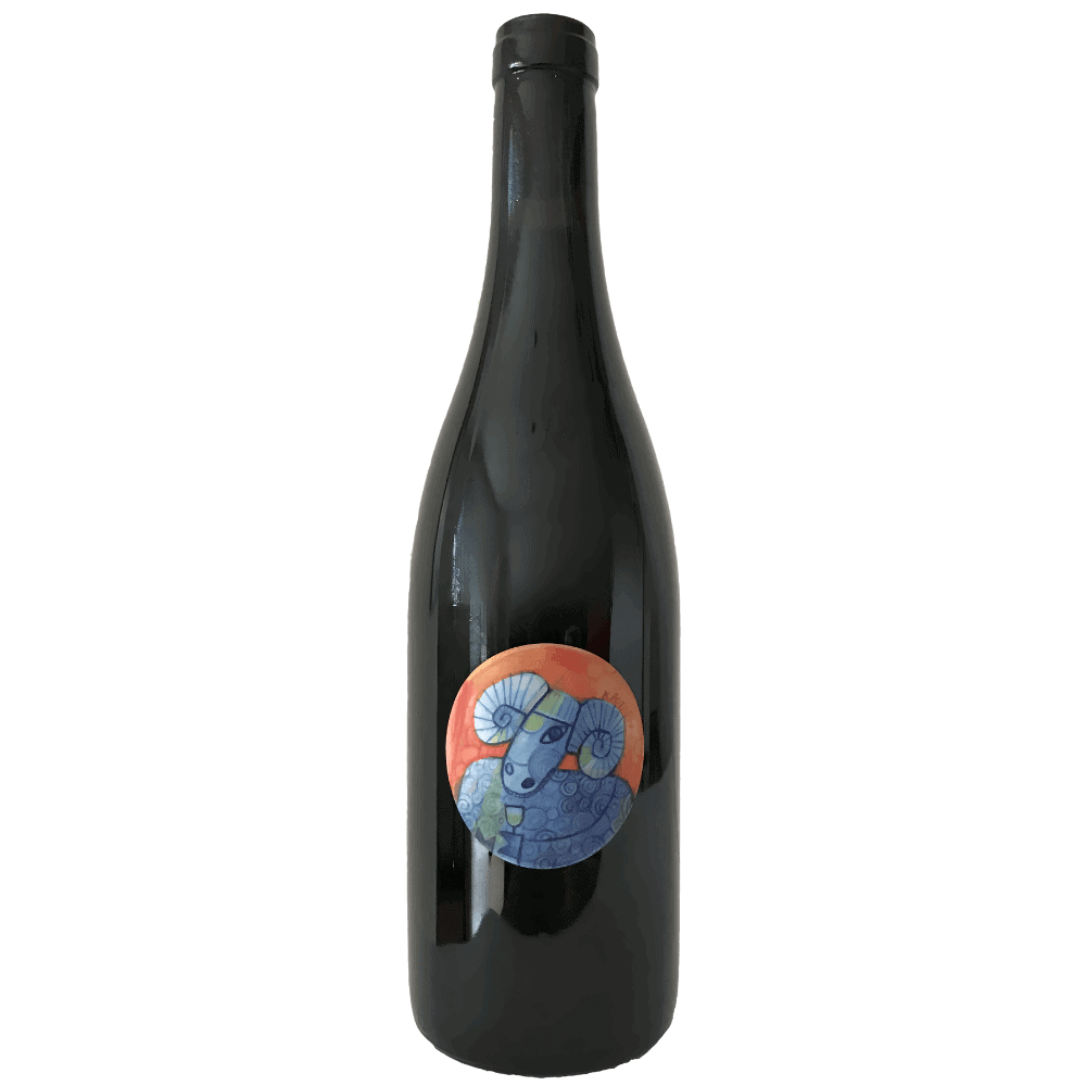 Weisswein Sauvignon Blanc Echo Hamacht 75cl