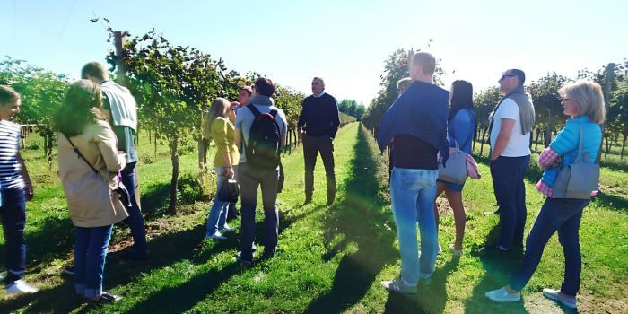 In den Reben di Lenardo